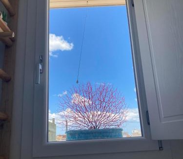 Gagliano del Capo House | Casa VersoMare Rooftop