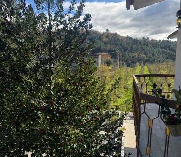 Lamego House | Casa Vicente