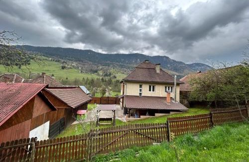 Vidra House | Casa Vidra