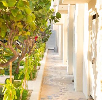 Ciudad del Carmen Hotel | Casa Viento Hotel