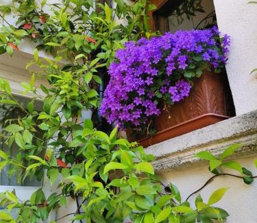 Bomerano Apartment | Casa Villani