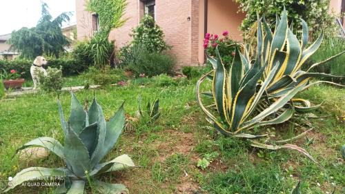 Felino House | Casa VINCENZO 130 mq con portico ed ingresso esclusivo dal giardino