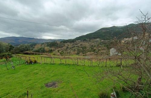 Soajo House | Casa Vinograd