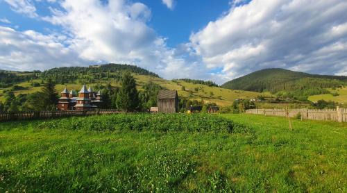 Iacobeni House | Casa Viorica -Botoș