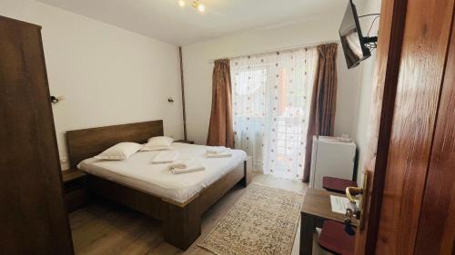 Baile Herculane House | Casa Visescu