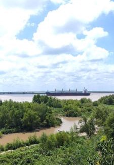 Obligado House | Casa vista al Rio Parana Vuelta de Obligado