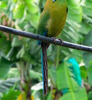 Jardin House | Casa Viva Alojamiento Rural