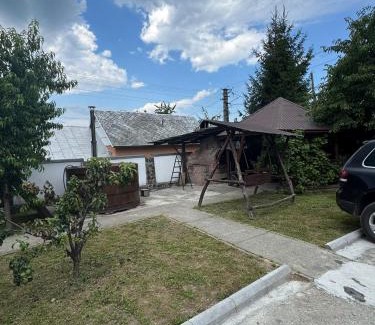 Sapinta House | Casa Vlad-Alex