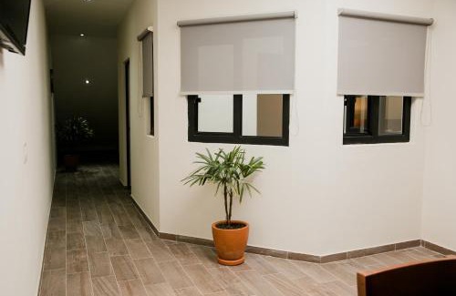 Tequila Apartment | casa VOLCAN x Santiago de tequila