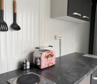 Bazias House | Casa WEEK Dunare
