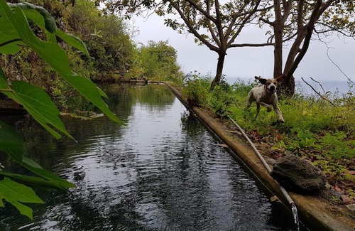 Realejo Alto House | Casa Whasintonia