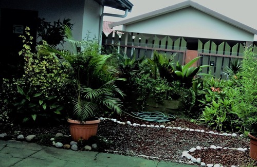 San Isidro de Grecia Apartment | Casa Yayaz - rainforest lodge in the mountains