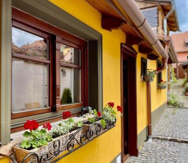 Sighisoara House | Casa Zatler 1#