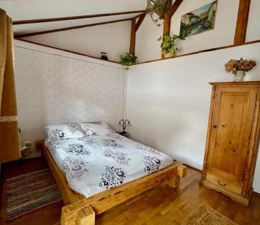 Sighisoara House | Casa Zatler 1#