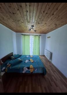 Silvasu de Sus House | Casa Zepa