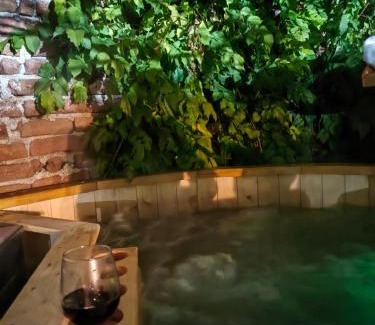 Lapusnicu Mare House | Casa Zina - inchiriere integrala