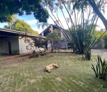 Paso de la Patria House | Casa Zorzal