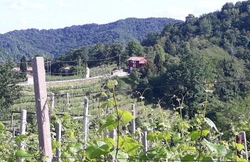 Rolle Bed & Breakfast | Casa Zuel Guesthouse