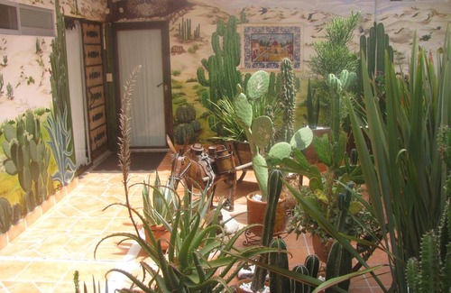 Zona Centro Bed & Breakfast | Casa Zuniga B&B