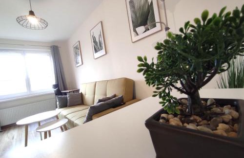 Rybnik Apartment | *Casablanca Apartament* - 40m² ✓