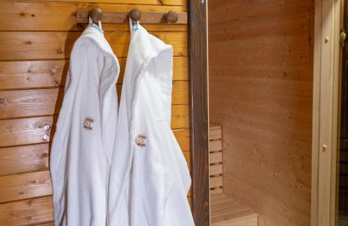 Sinaia House | CasaDrago Sinaia , sauna si ciubar cu apa sarata