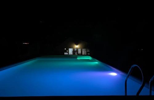 Vicuna House | Casaelqui