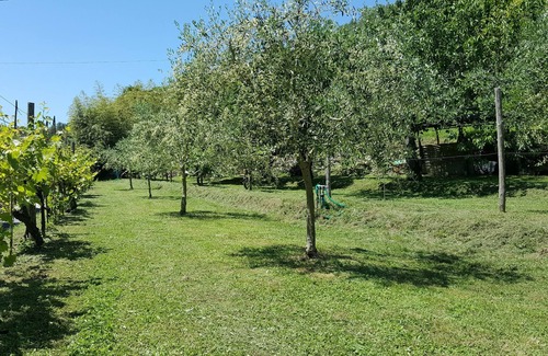 Ortonovo House | Casale Amati La Marchesa, ancient and fascinating oil mill between sea and hills.