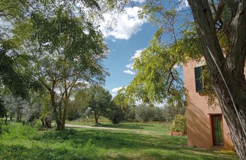 Vallevo Bed & Breakfast | Casale Costa dei Trabocchi