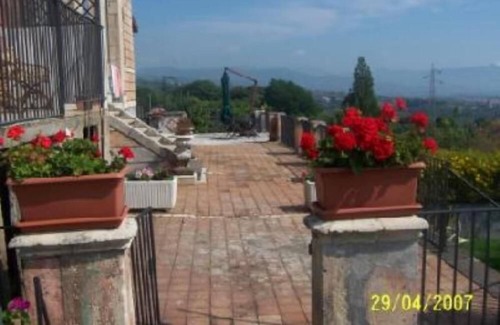 Coste House | CASALE DELLE PALME IN THE QUIET OF THE COURTYARD 2,5KM FROM THE SEA