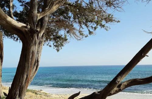 Castiadas Bed & Breakfast | Casale Diletta