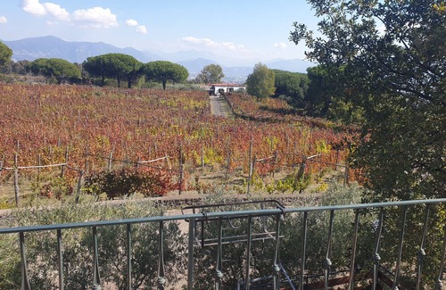 Boscotrecase Villa | Casale Rendine villa