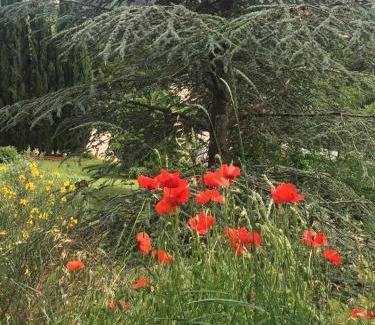 Capranica Bed & Breakfast | Casale Sant'Elia