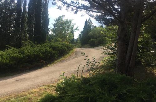 Capranica Bed & Breakfast | Casale Sant'Elia