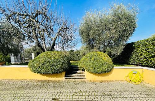 Formello House | Casaloca Inn