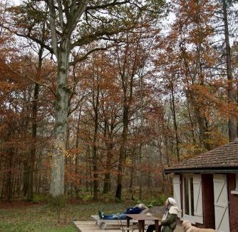Poigny la Foret Cabin | CASAMAAS