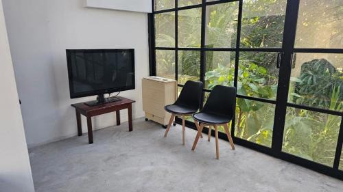 Palenque House | casaroja