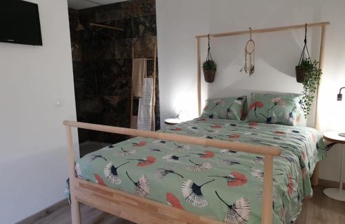 Idanha-a-Nova Apartment | CASAS BEM HAJA Praça e Oliveira