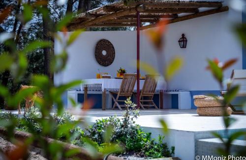 Alcacer do Sal House | Casas da Horta