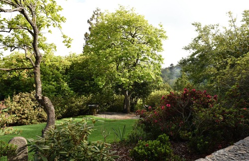 Camacha House | Casas de Pedra - The Magnolia - Enjoy the amazing rural atmosphere.