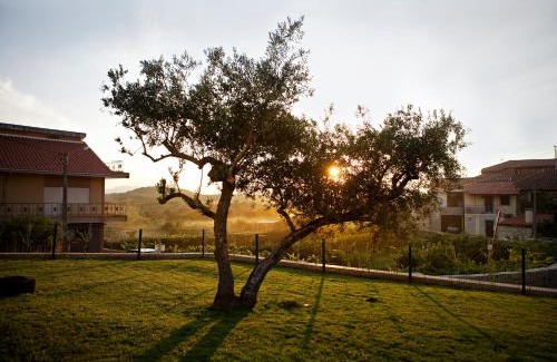 Vale do Lobo House | Casas de Vale de Lobo