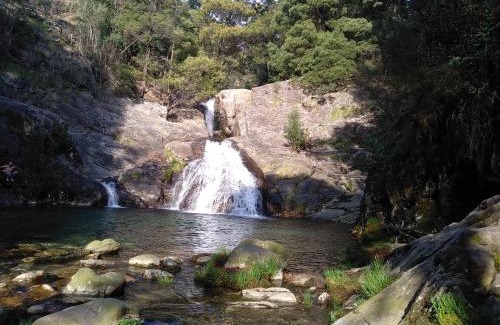 Vila Praia de Ancora House | Casas do Pedro T1