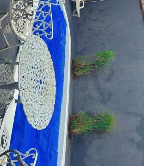 Centro House | Casas Paradisiaca Pagamento Automática