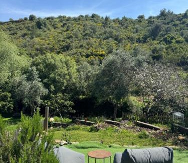 Aldeia da Mata Pequena House | Casas Rio Verde