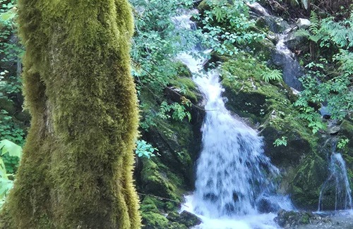 Marblemount Cabin | Cascade River Cabin + Hot Tub, Firepit