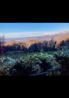 Chiaverano Bed & Breakfast | Cascina Brunod