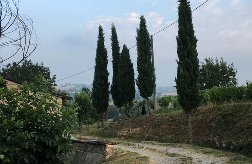 Vignale Monferrato Apartment | Cascina Intersenga Winery - "Alloggio della Libertà"