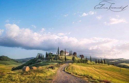Gallina House | casella tarugi