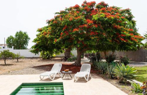 Arona House | Caserío de Guaza