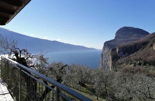 Arias House | Casetta delle olive