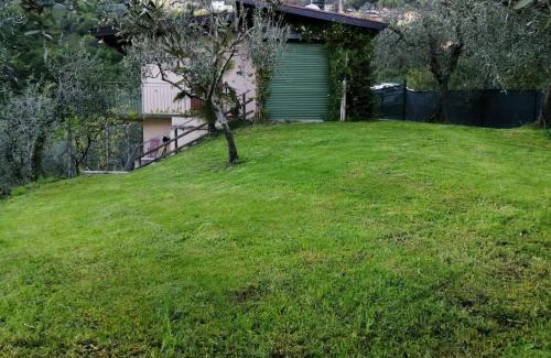 Arias House | Casetta delle olive